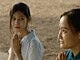 Fruit Gathering Review: Myanmar Drama Captivates Critics With Quiet Queer Romance and Emotional Storytelling