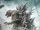 ‘Godzilla Minus Zero’ Heading to New York Film Festival for World Premiere